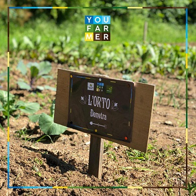 youfarmer_2_d0